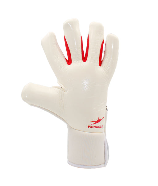 Pinnacle pro clearance goalkeeper gloves